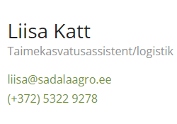 liisa katt